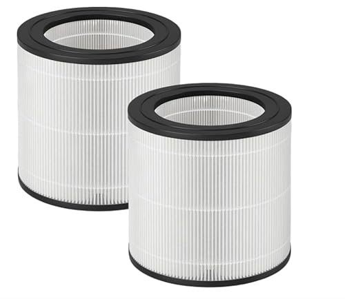 Confezione da 2 filtri di ricambio compatibili con purificatore d'aria Philips serie 600 AC0650/10 AC0651/10, sistema di filtraggio 3 in 1, H13 True Hepa + carbone attivo FY0611/30