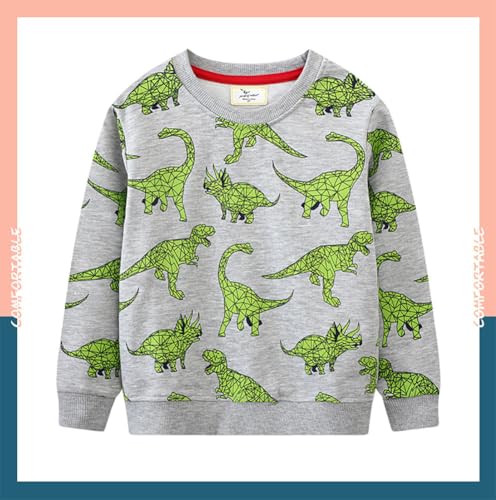 Boys Sweatshirts Casual Sweatshirts Cotton Sweatshirts Long Sleeve T-shirts Crew Neck Cartoon Tops for Boys-5193
