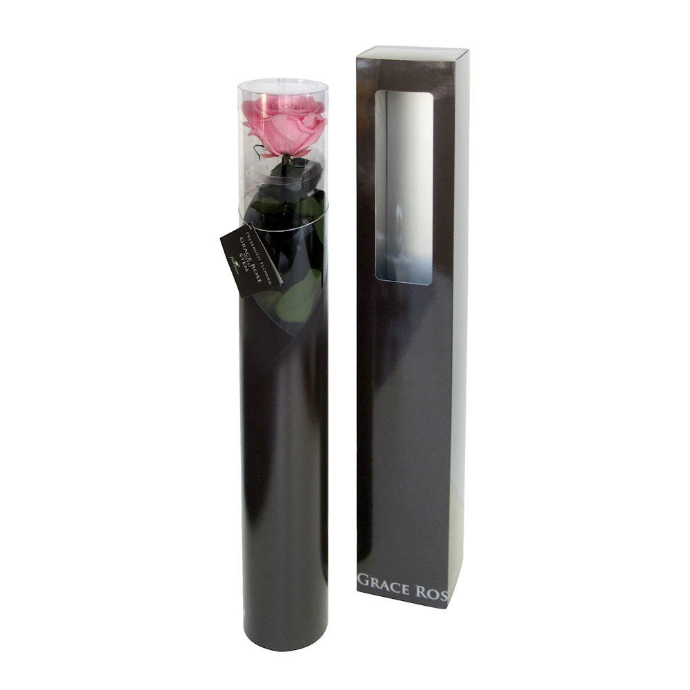 Amazon｜FLorever プリザーブドフラワー グレースローズステム付