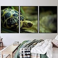 3 Piece Framed Canvas Wall Art Turtle Under The Surface Canvas Prints Home Artwork Decoration for Living Room,Bedroom - 16