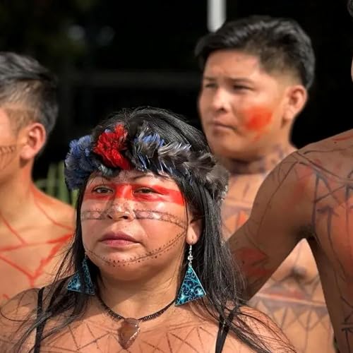 “Se retirarmos os ativistas, agricultores e indígenas que defendem os territórios brasileiros, eles ficam mais vulneráveis a interesses capazes de tudo, até de matar” Podcast Por arte de portada