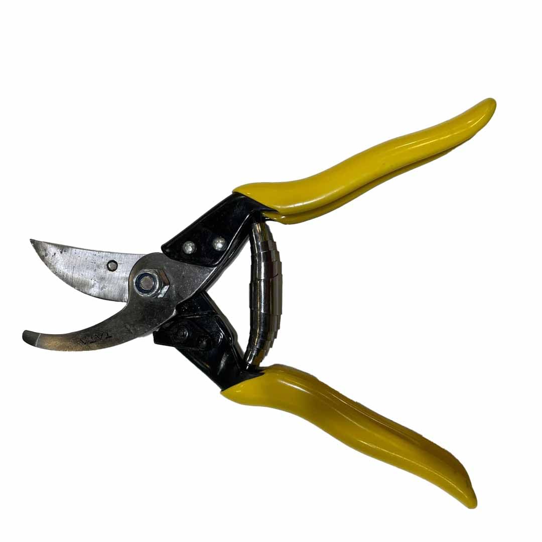 Tata Agrico Prunning Cutter Secature GTS002, Hand Prunning For Home Gardening Scissors, Pruning Branch Cutter, Tree Trimmers (Pack of 1) (B0CF5R6KC7) Amazon Price History, Amazon Price Tracker