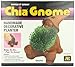 Chia Pet Gnome with Seed Pack, Decorative Pottery Planter, Easy to Do and Fun to Grow, Novelty Gift, Perfect for Any Occasion