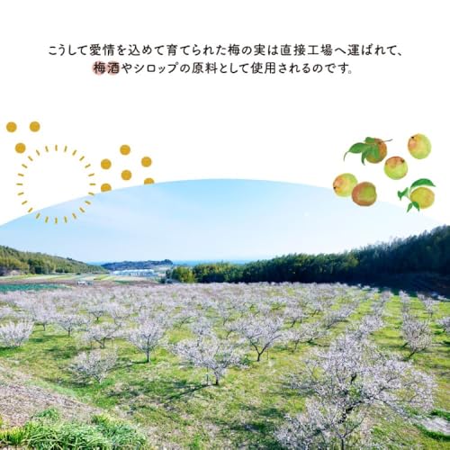 中埜酒造 國盛 無濾過梅酒 知多 720ml の商品画像 6