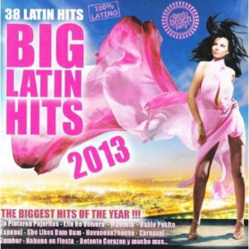 Big Latin Hits 2013 / Various