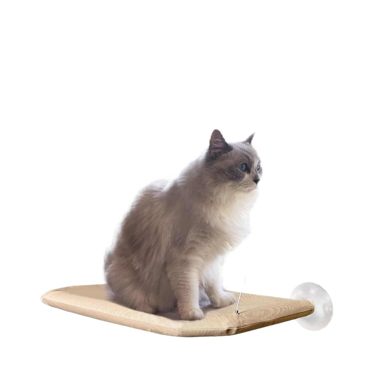 FJJRTWDG Warm Cat Window Perch Wood Strong Suction Cup Hammock, Artificial Pet Hammock, Suitable for Indoor Pets Suitable for Indoor Pets