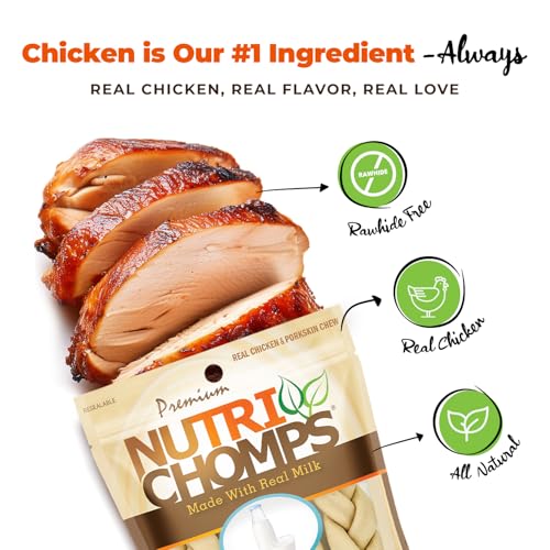 NutriChomps-Dog-Chews-6-inch-Braids-Easy-to-Digest-Long-Lasting-Rawhide-Free-Dog-Treats-Healthy-4-Count-Real-Milk-flavor NutriChomps Dog Chews 6 inch Braids Easy to Digest Long Lasting Rawhide Free Dog Treats Healthy 4 Count Real Milk flavor