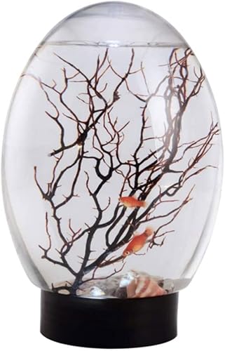 Miniatura 9 de Mini pecera, ecosistema acuático cerrado Ecoesfera de 7.5 in7.5 pulgadas con luz LED, mini decoración de escritorio de acuario para decoración de