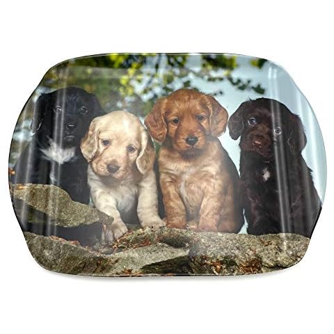 Cocker Spaniel Puppies Dog Medium Serving Tray. Gift for Dog Lovers Cover