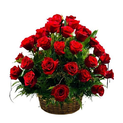 Floranet Dutch Wonder Rosy 20 Red Roses Basket Arrangemnet For Anniversary Gift, Birthday Gift, Wedding Gift, Congratulations Gift, Mother's Day Gift (Same Day Delivery)-image-4