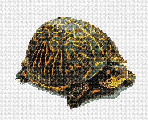 Pepita Needlepoint kit: Box Turtle, 9