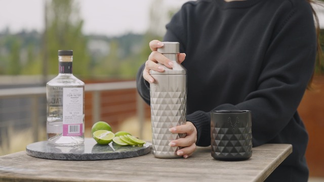 Amazon.com: Viski Paragon Vacuum Insulated Cocktail Shaker