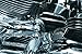 Kuryakyn 1068 Motorcycle Component: Transmission Shift Arm Cover for 2001-17 Harley-Davidson Motorcycles, Chrome , Black