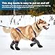 2 Pairs Dog Socks Anti Slip Dog Socks Boots Anti-Slip Dog Paw Protector Waterproof Rubber Bottom Dog Shoes Rubber Sole Dog Boots with Adjustable Straps for Indoor Outdoor Wear (Large Size)