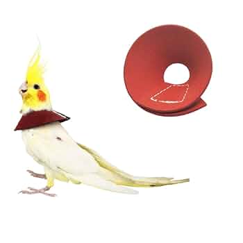 Amazon | Nikkashop 鳥 エリザベスカラー 鳥類羽根抜き防止 調整