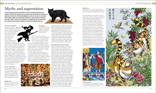 The Cat Encyclopedia: The Definitive Visual Guide (DK Pet Encyclopedias) - Image 11