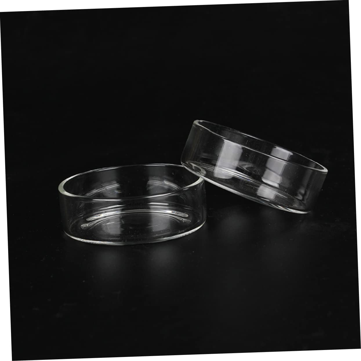 HOLIDYOYO 5pcs Shrimp Food Basin Shrimp Feed Dish Feeder Bowl Feeder Dish Shrimp Food Dishes Shrimp Dish