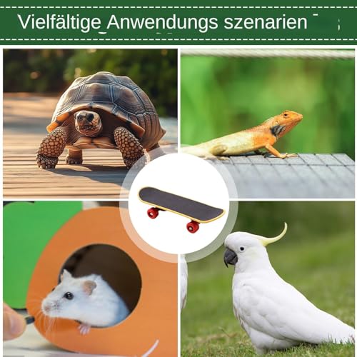 Schildkröten-Skateboard, Verstellbare Schildkrötenleine und lustiges Skateboard-Set, Trainingsgeschirr und Mini-Skateboard für Schildkröten, Schildkrötenhabitat-Zubehör