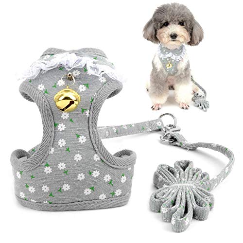 Zunea Pettorina e guinzaglio per cani di piccola