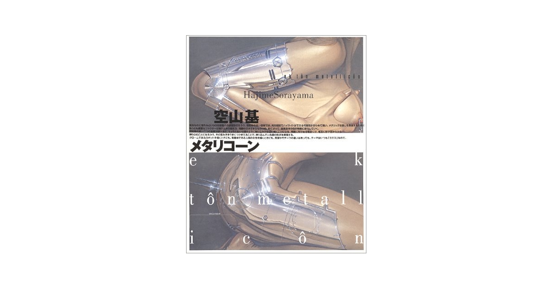 空山基　メタリコーン　ek t^on llic^on　Sorayama 空山基 メタリコーン ek t^on metallic^on Sorayama - メルカリ