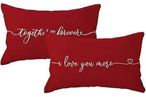 Give Love and Get Love: The Perfect I Love You More Pillow Covers for Couples