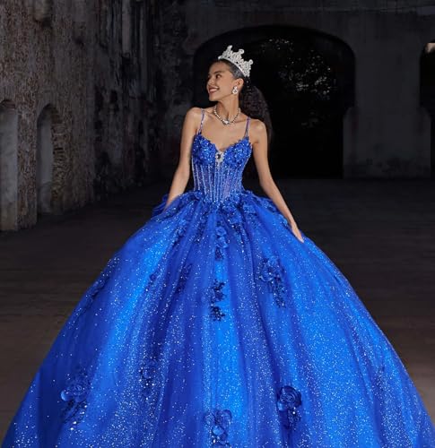 Ball Gown Modern Quinceanera Dress Formal Dress Spaghetti Straps Sleeveless Floor-Length with Appliques 20252