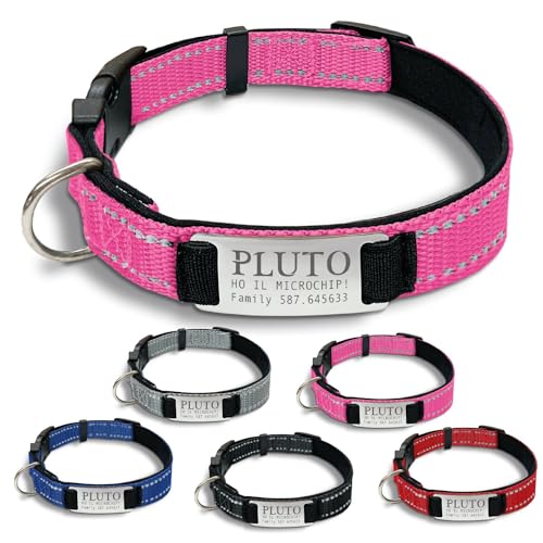 Gruppo Veneziano - collare cane personalizzato - collare cane personalizzabile con targhetta in metallo - linee Catarifrangenti - clip in abs - gancio per guinzaglio