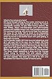 Zoom IMG-1 the scarlet knight book with