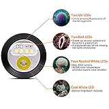 Zoom IMG-1 orcatorch d900 v video luce