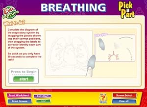 Daydream Education Breathing interactive Whiteboard Chart