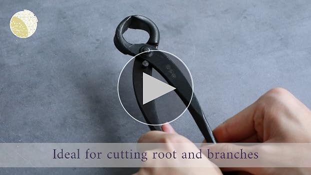 Amazon.com: Wazakura Hand Forged Bonsai Root Cutter MADE IN