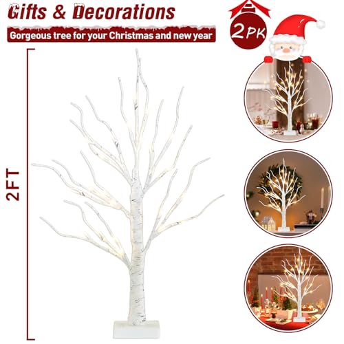 image for PEIDUO Christmas Decorations Indoor, 2 FT Birch Tree with LED Lights, 