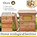 Bee Hive Starter Kit – Automatic Beehive Box Set for Easy Beekeeping, Complete Bee Hive Boxes for Beginners