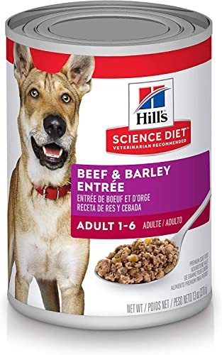 Hills Science Eating Regimen Grownup 16 Grownup 16 Premium Diet Moist Canine Meals Beef  Greens Loaf 13 Oz Can Case of 12  Cucciolini Doodles Hills science eating regimen grownup 1 6 grownup 1 6 premium diet moist canine meals beef  greens loaf 13 oz can case of 12   cucciolini doodles