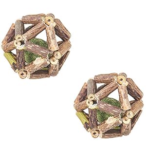 2 Stück Spielzeug mit Katzenminze, Zähne Knirschen Kauen Katzenminze Spielzeug für Katze, Naturholz Rollen Ball, Katze Interaktive Spielzeug, Steigerung des Appetits und Reinigung des Mundes