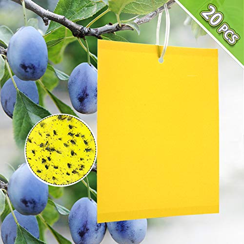 ZOORE 20 Piezas Trampas Adhesivas, Trampas de Mosca pegajosas de Doble Cara Amarillas para como Mosquitos, pulgones, Moscas Blancas, Otros Insectos de Plantas voladoras (Se Incluyen Corbatas)