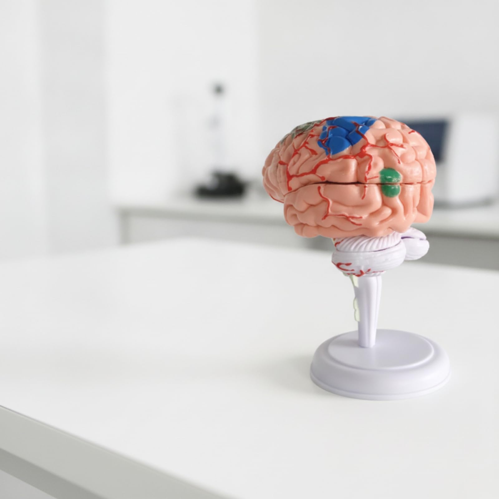 Rompecabezas en 3D Didáctico