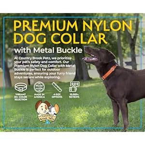 Country Brook Petz Premium Nylon Dog Collar with Metal Buckle for Small Medium Large Breeds – Vibrant 30+ Color Selection (Large, 1 Inch, Ice Blue)