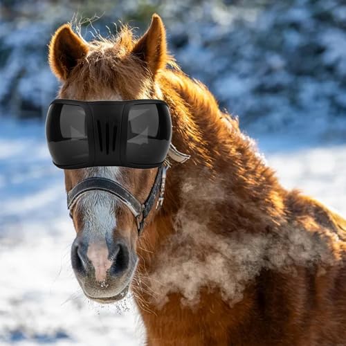 Lunettes d'équitation sangle réglable et protection des yeux chevaux - 5