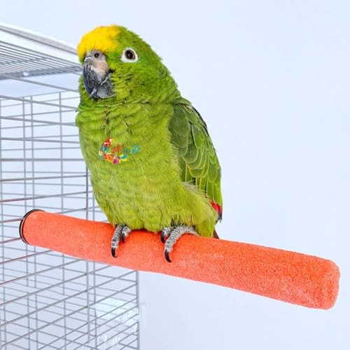 Image of 10 Pcs Parrot Perch Stand Bird Perch Stand Toy Colorful Paw Grinding Stick Cage Wooden Parakeet Perch Accessories for Cockatiels