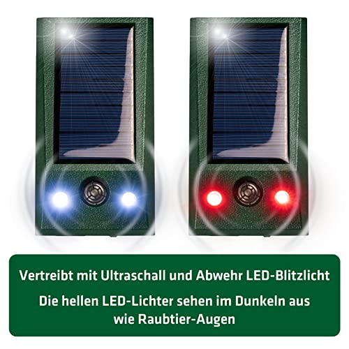 GARDIGO® Solar Tierabwehr Basic I Vertreibt Hunde, Katzen, Mäuse, Ratten und Wildtiere I Tiervertreiber mit weißem und rotem LED Blitzlicht