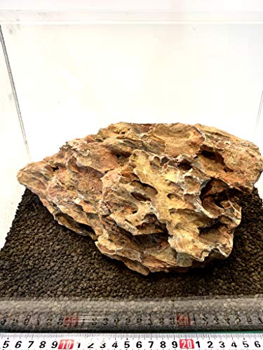 CE  ANAE CAEg RPE eE CE Ր I  200-300mm 1  ANAE CAEg  RPE eE p_E Ԓd