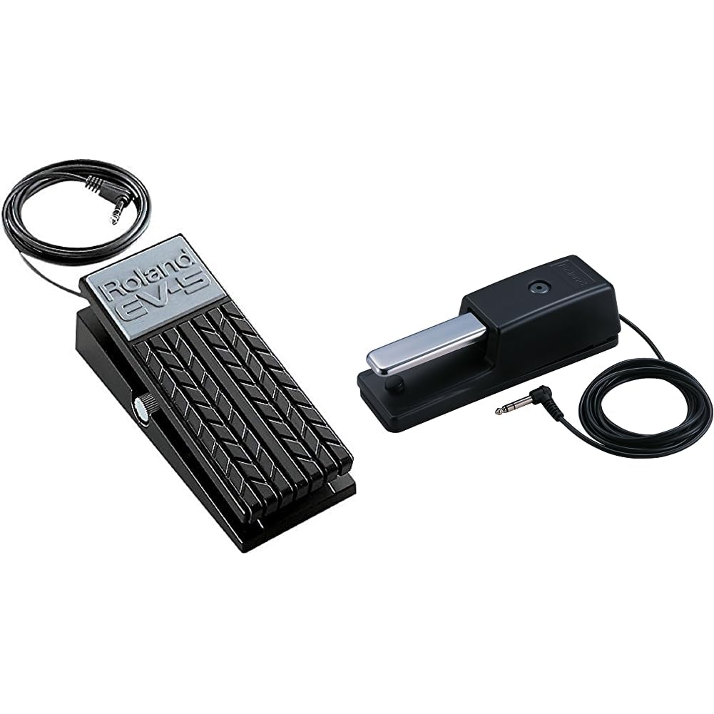 ROLAND Ev-5 Expression Pedal for Synths And Keyboards & Dp-10