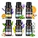 Aceites Esenciales 100% Puro, Set de Regalo de Aceites, 6*10ml Aceites Esenciales Para Humidificador, Lavanda, Bergamota, Incienso, Menta, Naranja Dulce, Eucalipto, Clavo - Relajarse & Aromaterapia