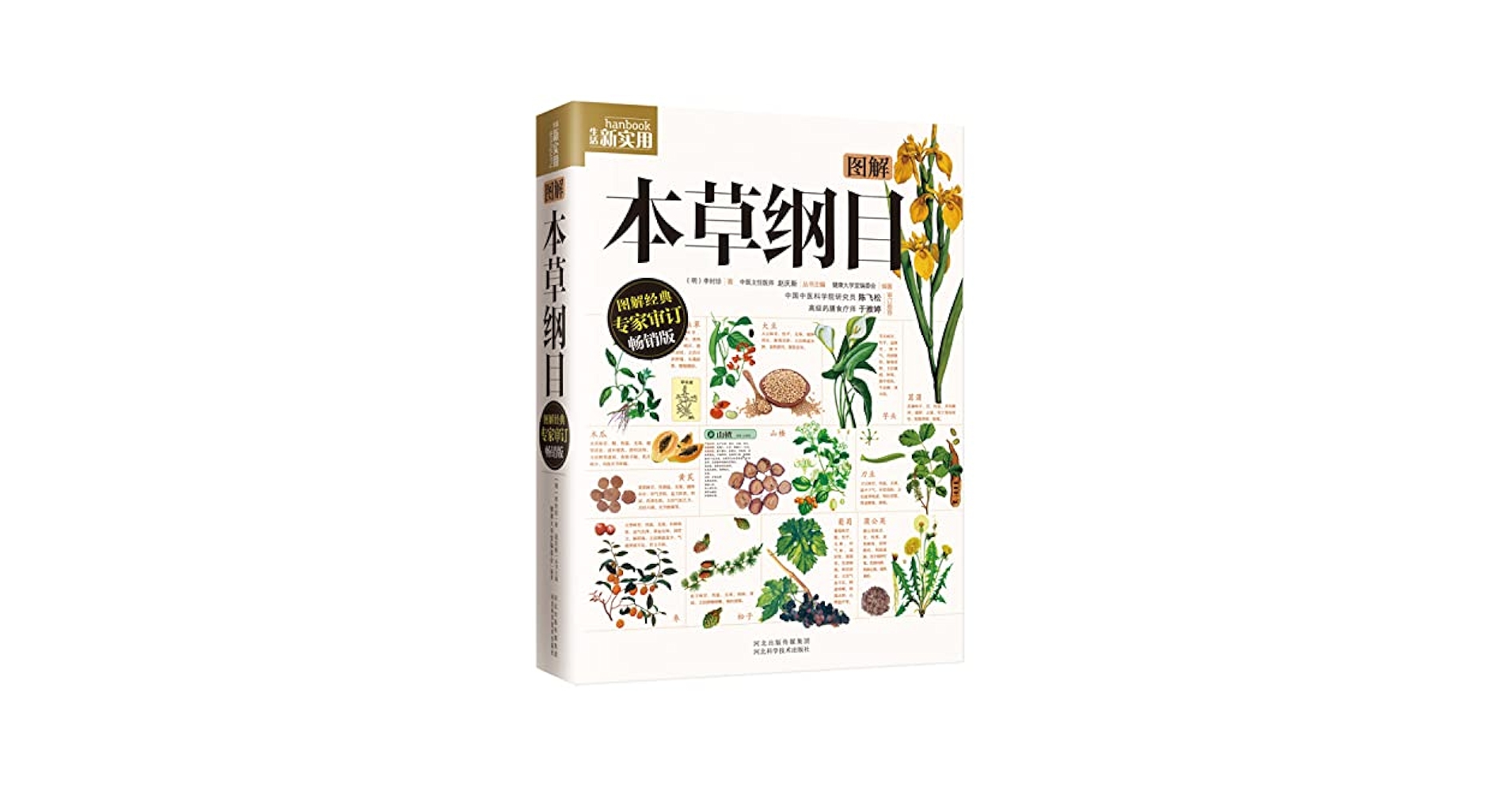 Amazon.co.jp: 図解本草綱目漢方薬 中国語版書籍/图解本草纲目