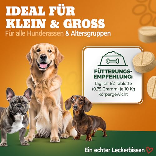 NATIVIVO Fellpflege Hund - Juckreiz Hund Fellpflege - Fellkomplex Biotin & Zink - Unterstützend bei Juckreiz - Biotin für Hunde Glänzendes Fell - 100 Tabletten Nahrungsergänzungsmittel für Hunde