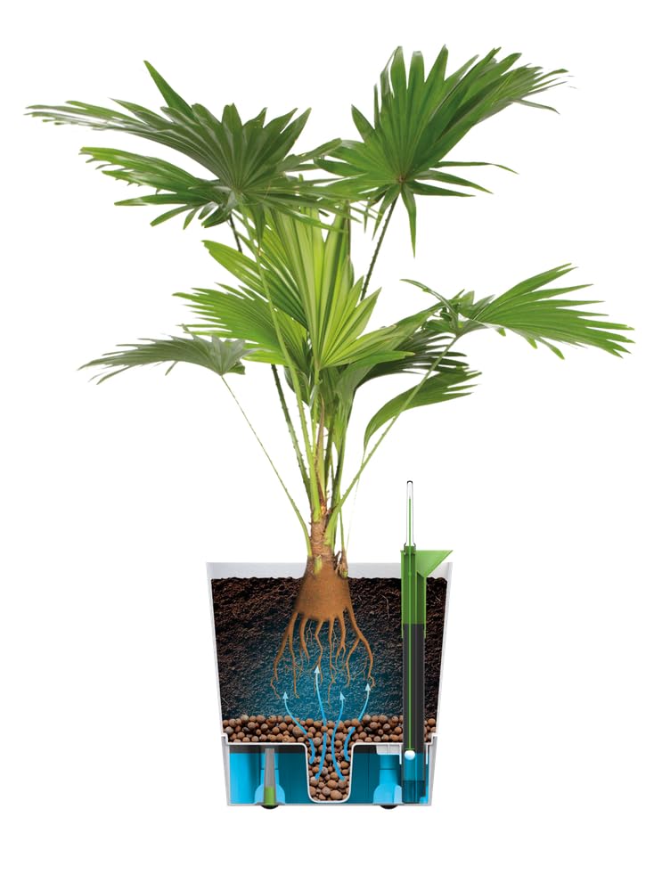 Elho Greensense Aqua Care Square 38 - Macetero por Interior y Exterior - 100% Plástico Reciclado - Ø 38.0 x H 38.9 cm - Charcoal Grey
