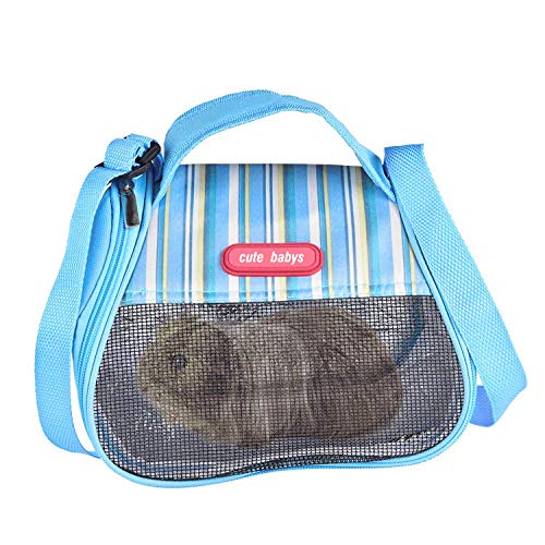 Top 7 Best Guinea Pig Carriers Reviewed for 2023