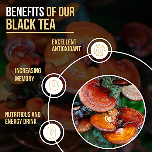 Vida Divina Black Tea - Reishi-Infused Blend for Sun, Iced or Afternoon - Supports a Healthy Lifestyle with Less Caffeine - Enjoy with 20 Sachets