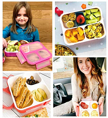Kinsho Bento Box For Kids, Toddler Lunch-Box Snack Container For Small Boys Girls In School Pre-School Daycare, Leakproof 3 Compartment Containers For Snacks, Bpa Free. Medium Orange Pink 2 Pack #TOP4